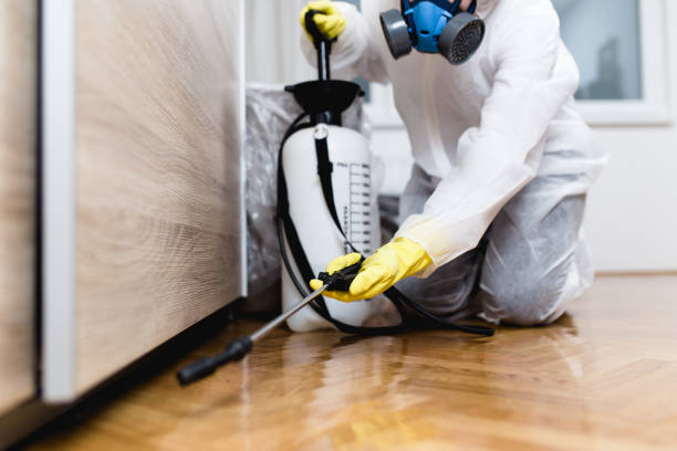 Best Mosquito Control Services  in Millcreek, UT