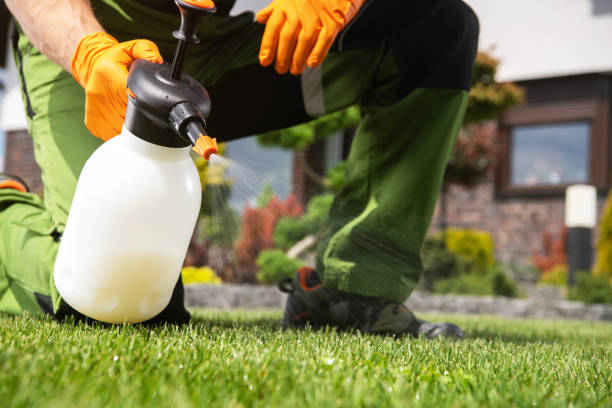 Best Ant Control Services  in Millcreek, UT