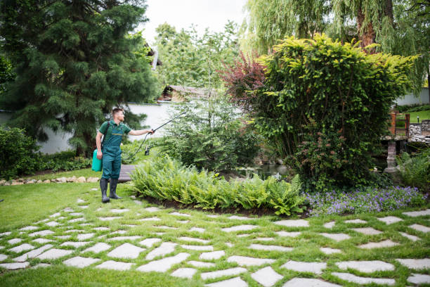 Trusted Millcreek, UT Pest Control Experts