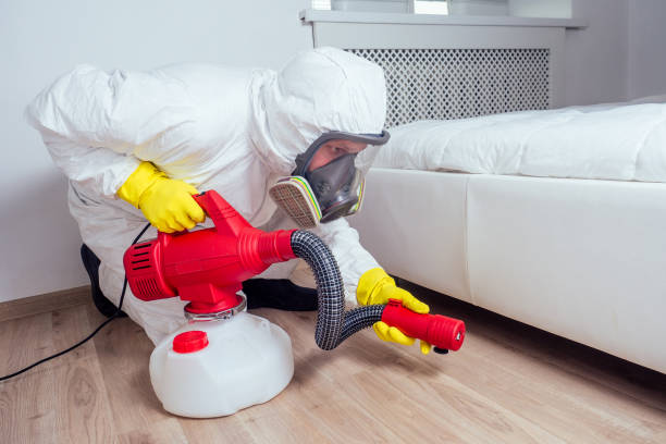 Best Emergency Pest Control  in Millcreek, UT