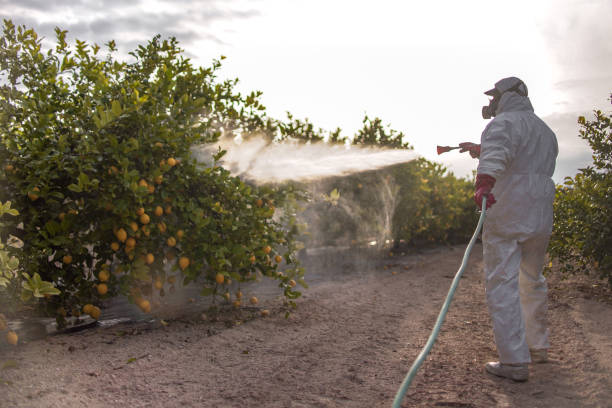 Best Affordable Pest Control Services  in Millcreek, UT