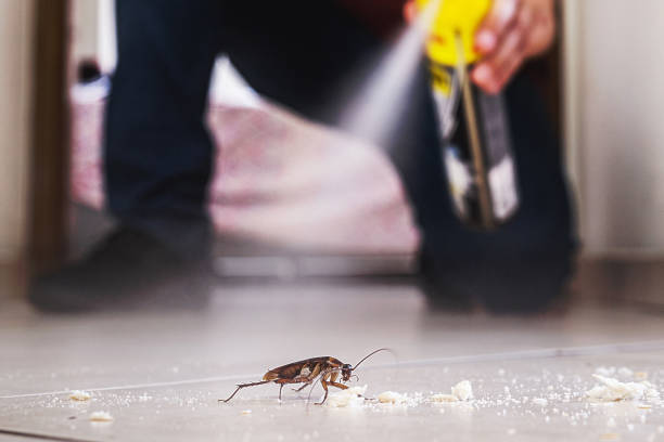 Best Cockroach Control Services  in Millcreek, UT