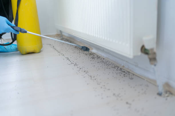 Best Bed Bug Extermination  in Millcreek, UT