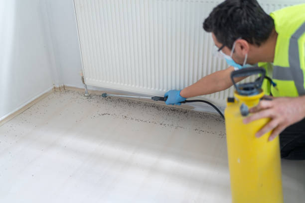 Best Wasp Removal Services  in Millcreek, UT