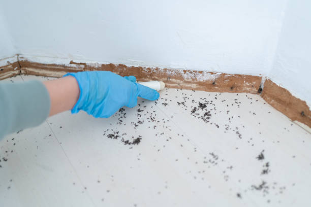 Best Pest Prevention Services  in Millcreek, UT
