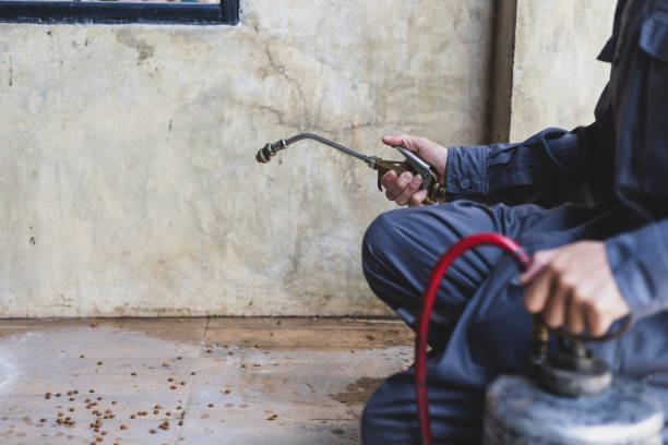 Wasp Removal Services in Millcreek, UT